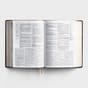 KJV Study Bible - Brown LeatherTouch