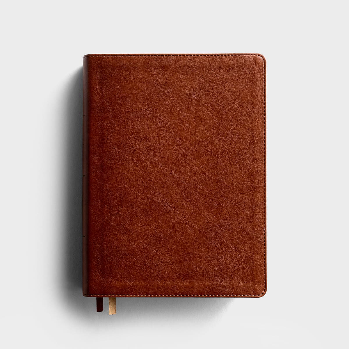 CSB Holy Land Illustrated Bible - Tan LeatherTouch