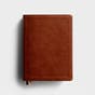 CSB Holy Land Illustrated Bible - Tan LeatherTouch