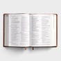 CSB Holy Land Illustrated Bible - Tan LeatherTouch