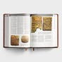 CSB Holy Land Illustrated Bible - Tan LeatherTouch