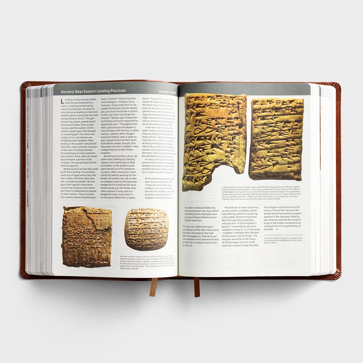 CSB Holy Land Illustrated Bible, Burgundy Leathertouch, Indexed: A Visual Exploration of the People, Places, and Things of Scripture [Book]