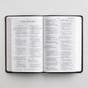 ESV Large Print Value Thinline Bible