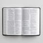 ESV Large Print Value Thinline Bible