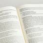 ESV Single Column Journaling Bible - Leather, Large Print