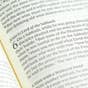 ESV Single Column Journaling Bible - Summer Garden, Large Print