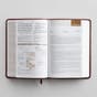 ESV Student Study Bible - Chestnut