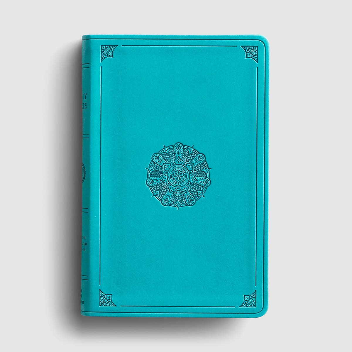 ESV Large Print Value Thinline Bible
