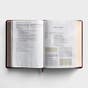 ESV Study Bible - TruTone, Chestnut