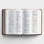 ESV Giant Print Bible - TruTone, Deep Brown