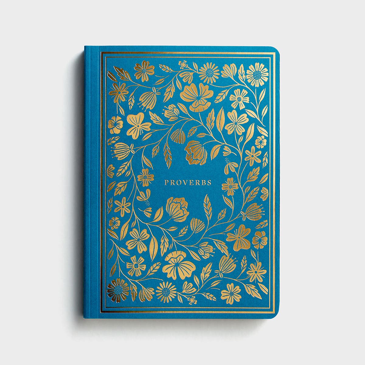 Illuminated Scripture Journal - Proverbs