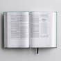 CSB (in)courage Devotional Bible - Green Cloth