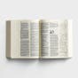 NLT The One Year Expressions Bible - Softcover