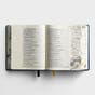 NLT The One Year Chronological Bible Expressions, Deluxe Edition