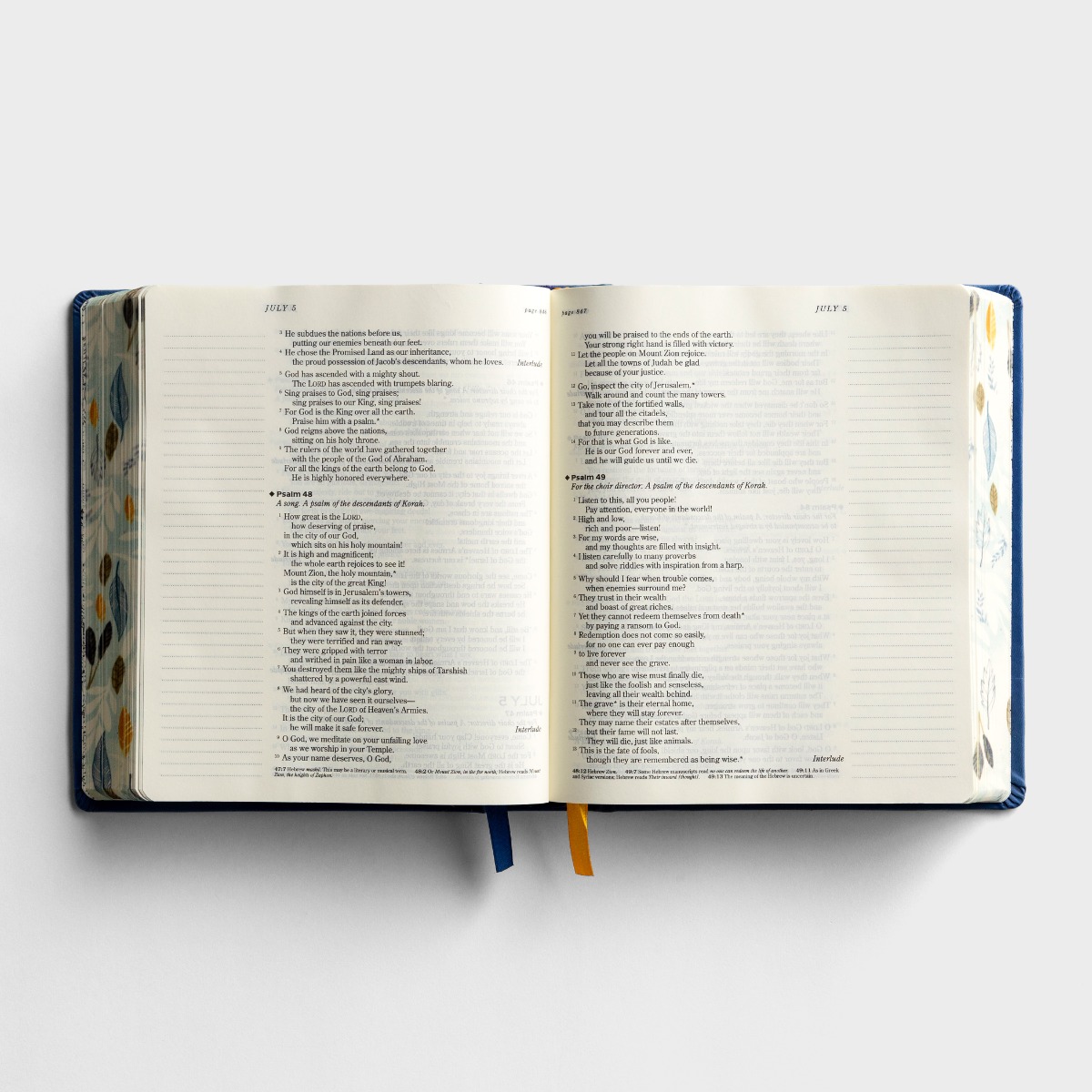 NLT The One Year Chronological Bible Expressions, Deluxe Edition