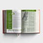 NLT Life Application Study Bible, Third Edition - Cloth Hardcover, Coral