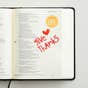 Illustrated Faith - 194-Piece Apple of My Eye Alphabet Stickers