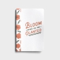 Bloom Where You Are Planted - Planter & Journal Gift Set