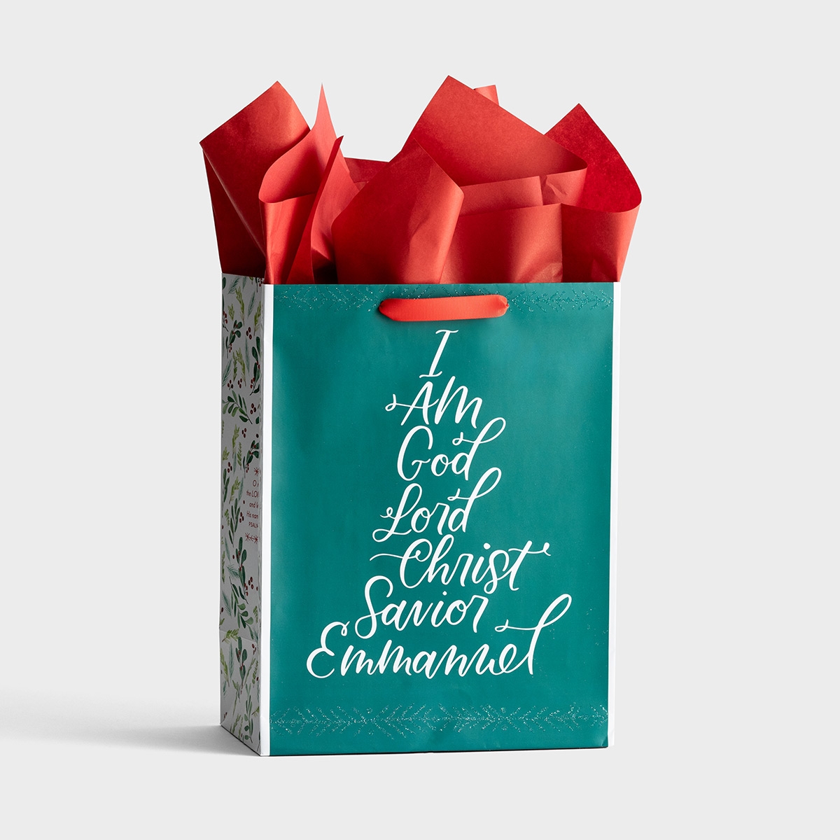 Names of Jesus - Large Christmas Gift Bag with Tissue Paper