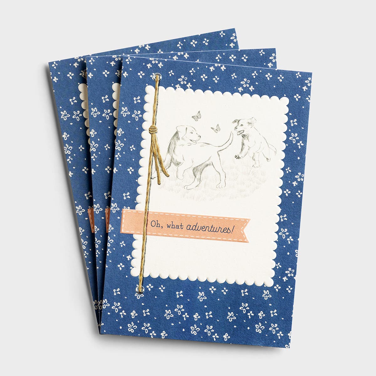 Birthday - What Adventures - 3 Premium Cards 