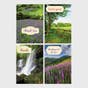 Thank You - Landscapes - 12 Boxed Cards and Envelopes, KJV