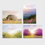 Care & Concern - Trying Times - 12 Boxed Cards and Envelopes