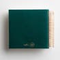 CSB - Illustrating Bible - Green