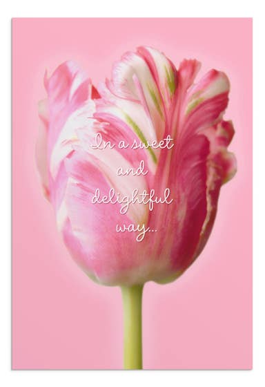 Valentine's Day - Pink Flowers - 12 Boxed Cards, KJV