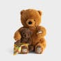 Today & Always Mama & Baby Bear Plush Set