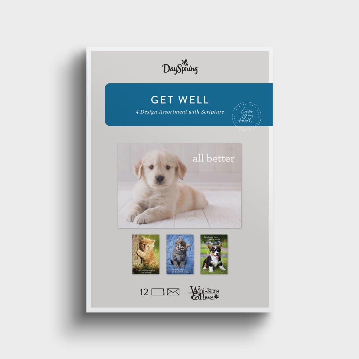 Get Well - Whiskers & Paws - 12 Boxed Cards and Envelopes, KJV