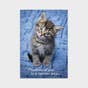 Get Well - Whiskers & Paws - 12 Boxed Cards and Envelopes, KJV