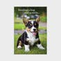 Get Well - Whiskers & Paws - 12 Boxed Cards and Envelopes, KJV