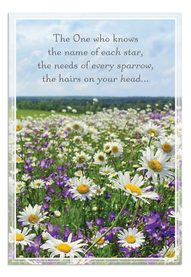 Praying for You - Landscapes - 12 Boxed Cards