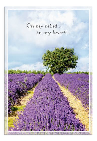 Praying for You - Landscapes - 12 Boxed Cards
