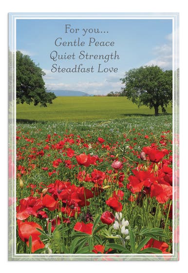 Praying for You - Landscapes - 12 Boxed Cards