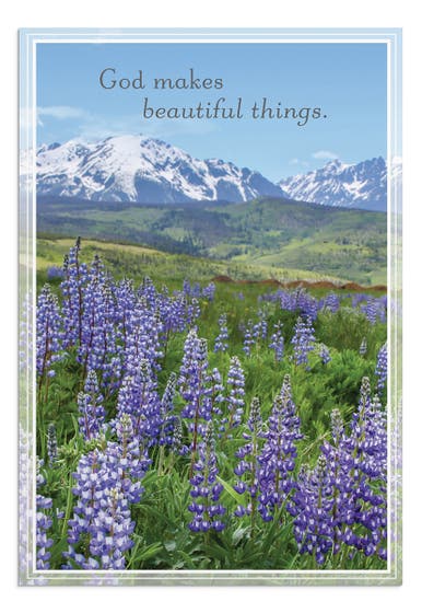 Praying for You - Landscapes - 12 Boxed Cards