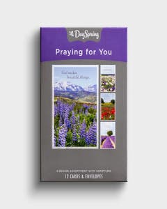 Praying for You - Landscapes - 12 Boxed Cards