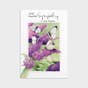 Marjolein Bastin - Nature's Blessings - Sympathy - Butterflies - 12 Boxed Cards and Envelopes