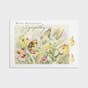 Marjolein Bastin - Nature's Blessings - Sympathy - Butterflies - 12 Boxed Cards and Envelopes