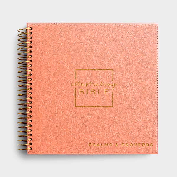 NIV Illustrating Bible – Books of Psalms and Proverbs