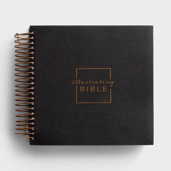 Illustrating Bible - NIV - Gray