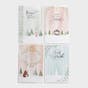 Names of Jesus - 60 Christmas Boxed Cards