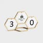 Candace Cameron Bure - Geometric Countdown Calendar with 8 Interchangeable Messages - Gold