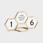 Candace Cameron Bure - Geometric Countdown Calendar with 8 Interchangeable Messages - Gold