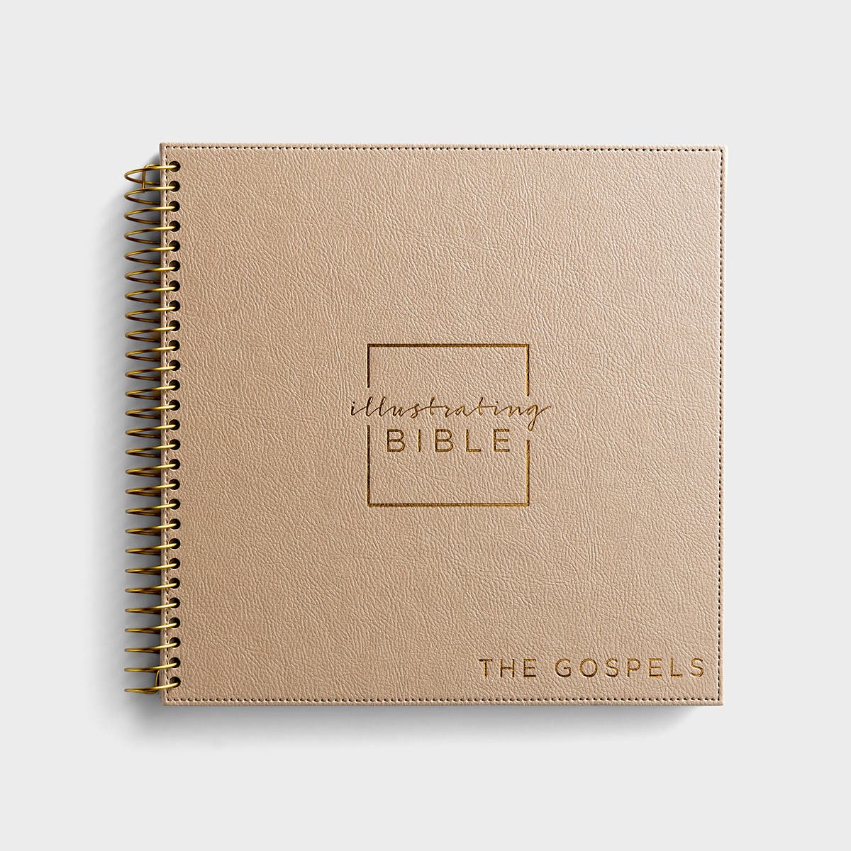 NIV Illustrating Bible - The Gospels