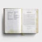 DaySpring Hope & Encouragement Seafoam Cloth Over Board Bible & 100 Days of Hope & Encouragement - Gift Set