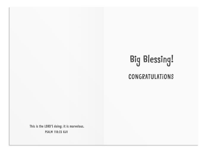 Baby - Make Way for Cuteness - 12 Boxed Cards, KJV