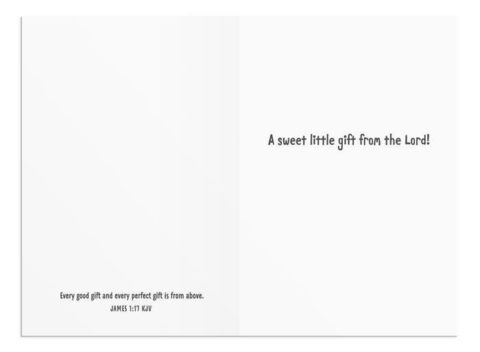Baby - Make Way for Cuteness - 12 Boxed Cards, KJV