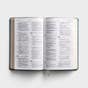 NLT - DaySpring Signature Collection - Thinline Reference Bible - Sage Leatherlike - Filament Enabled
