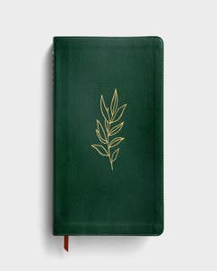 NLT - DaySpring Signature Collection - Large Print Thinline Reference Bible - Evergreen LeatherLike - Filament Enabled